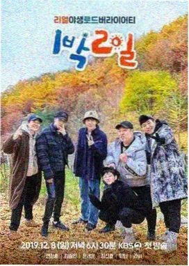导演请回答 海报